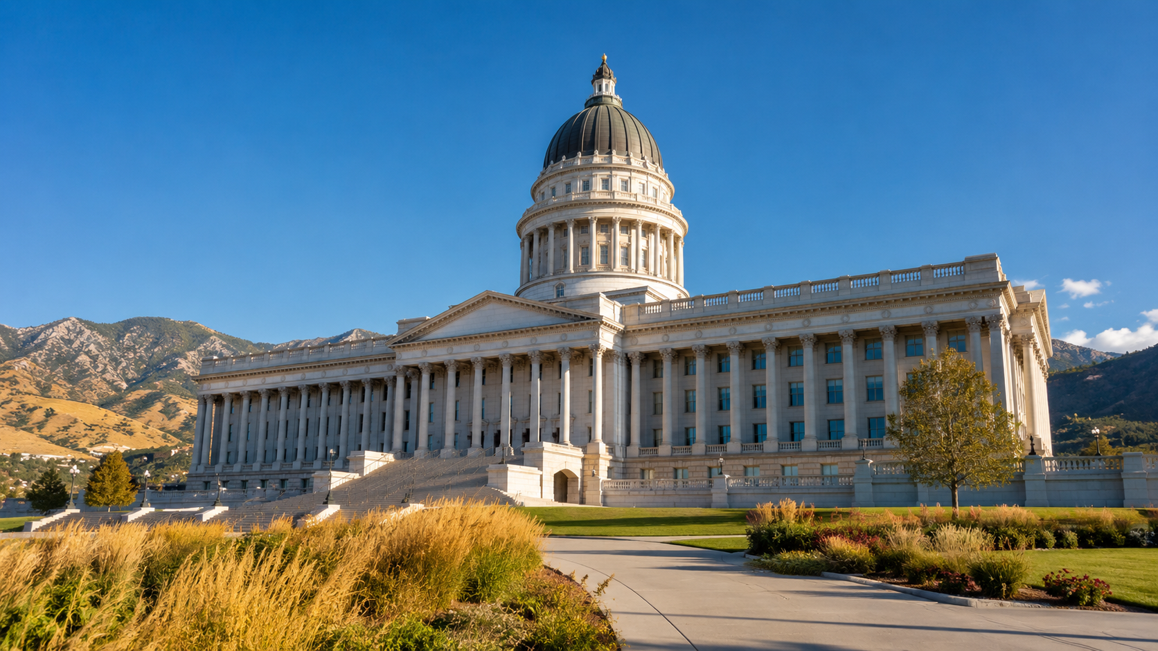 Utah surrogacy laws — placeholder